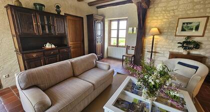 Charming old house in the heart of the vineyard, pets allowed