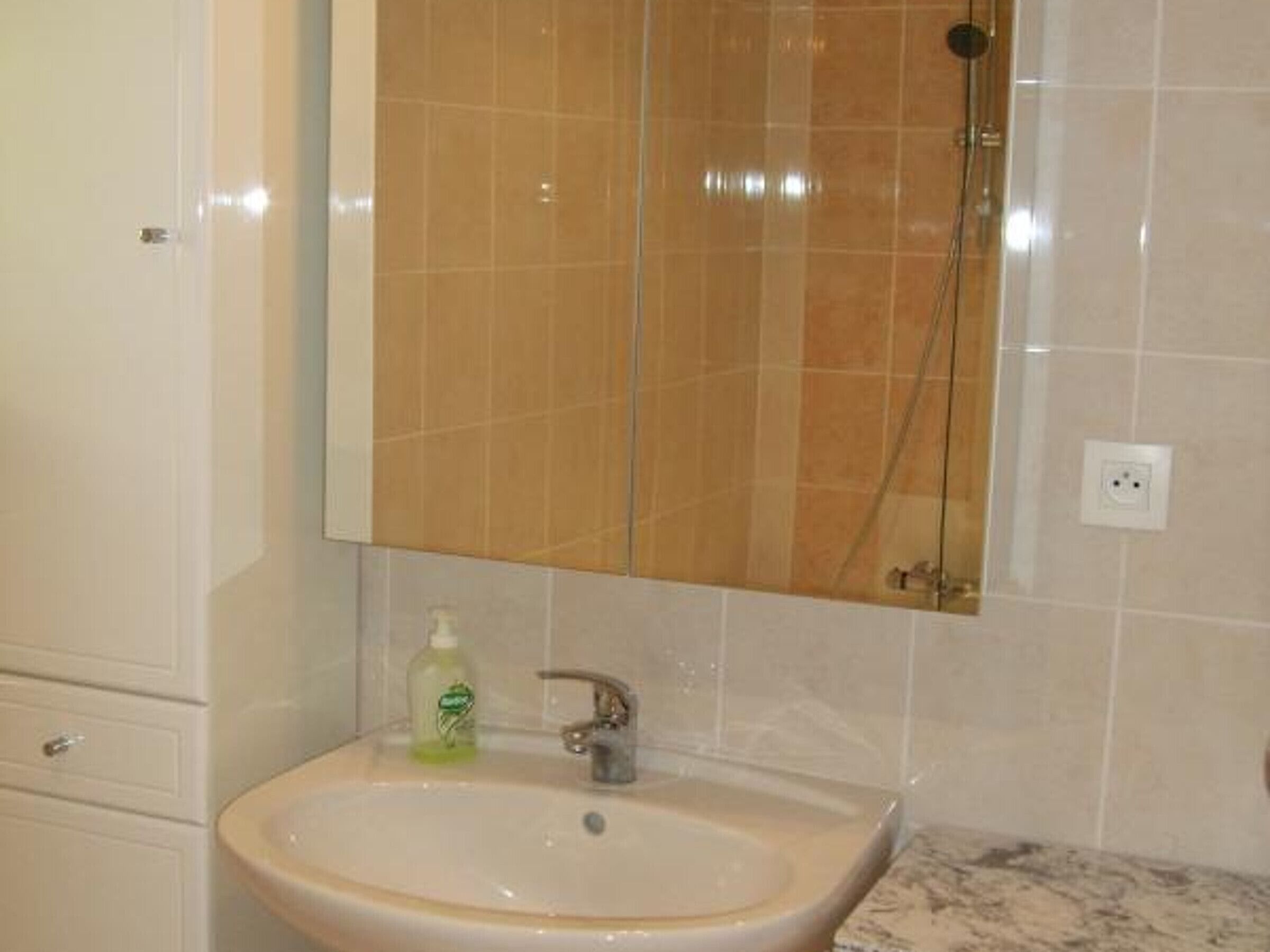Une salle de bain avec un lavabo, un miroir et une douche.