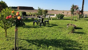 Un espace extérieur verdoyant avec quelques chaises et tables, une construction en briques en arrière-plan et un ciel dégagé.