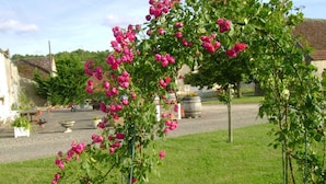 Un jardin avec des rosiers roses et un chemin de gravier.