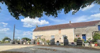 Cottage in Touraine: Countryside, 3 Bedrooms, Near Chenonceau