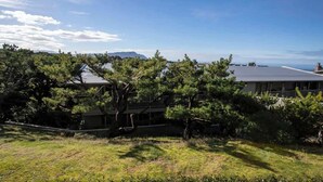 Un quartier résidentiel avec une maison entourée d’arbres et offrant une vue sur l’océan.