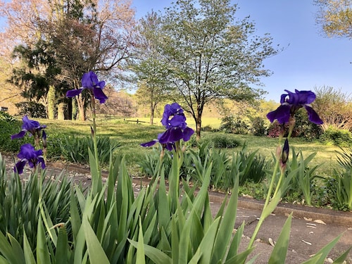 Farm Experience-In the Heart of Vineyard, Wine and Wedding Country-Spacious