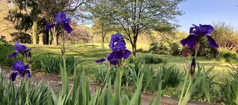 Farm Experience-In the Heart of Vineyard, Wine and Wedding Country-Spacious