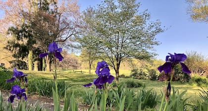 Farm Experience-In the Heart of Vineyard, Wine and Wedding Country-Spacious