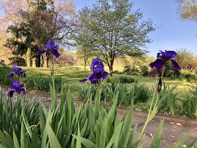 Farm Experience-In the Heart of Vineyard, Wine and Wedding Country-Spacious