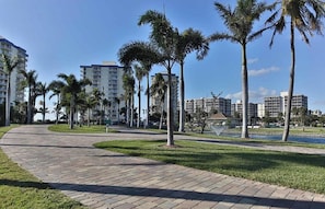 A paved walkway with palm trees, a grassy area, and buildings in the background.