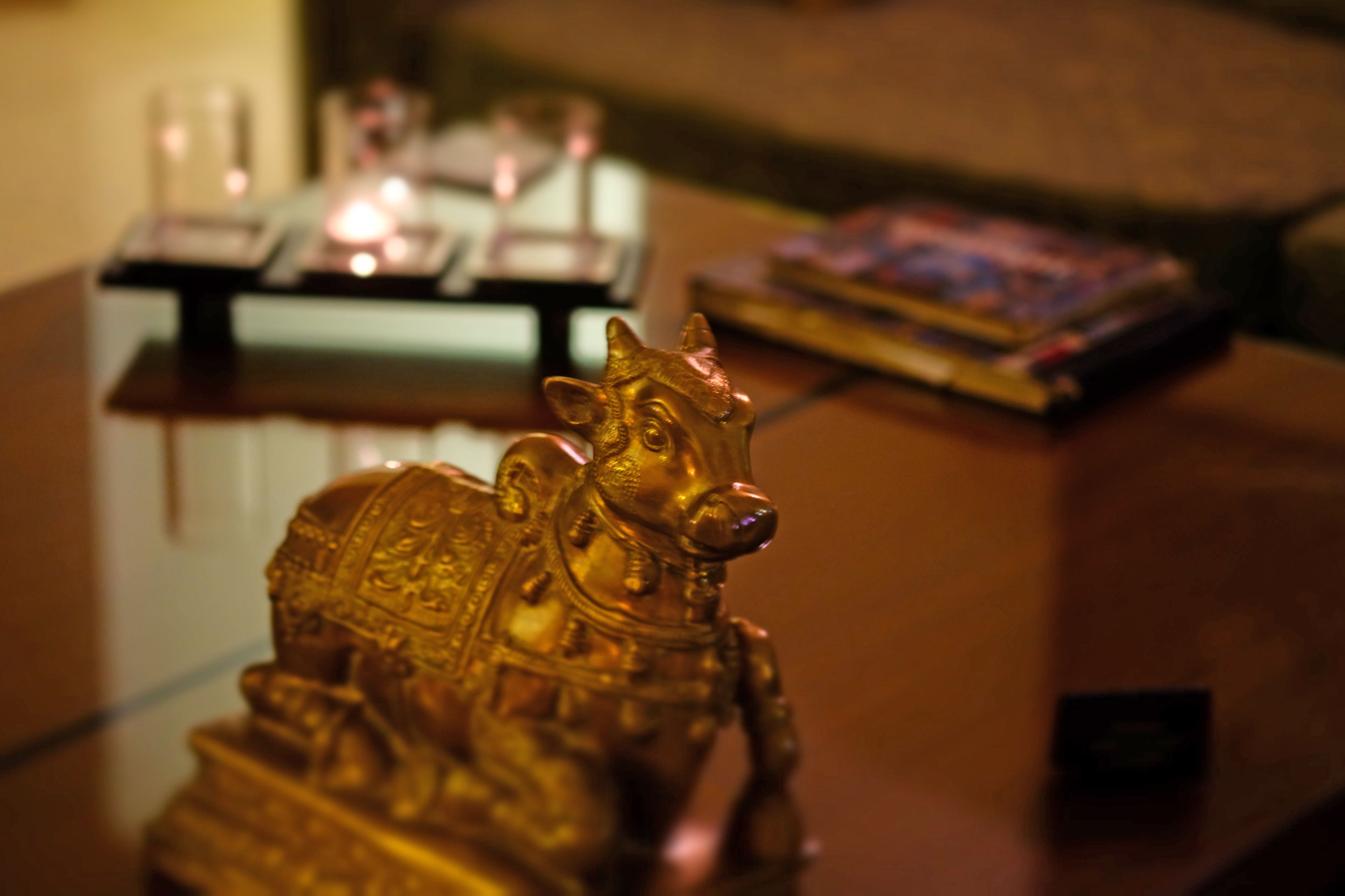 Photo - Thikana Delhi ( Boutique B&B)