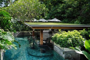 Una piscina con zona cubierta, rodeada de exuberante vegetación y una escalera que lleva a una sección techada.