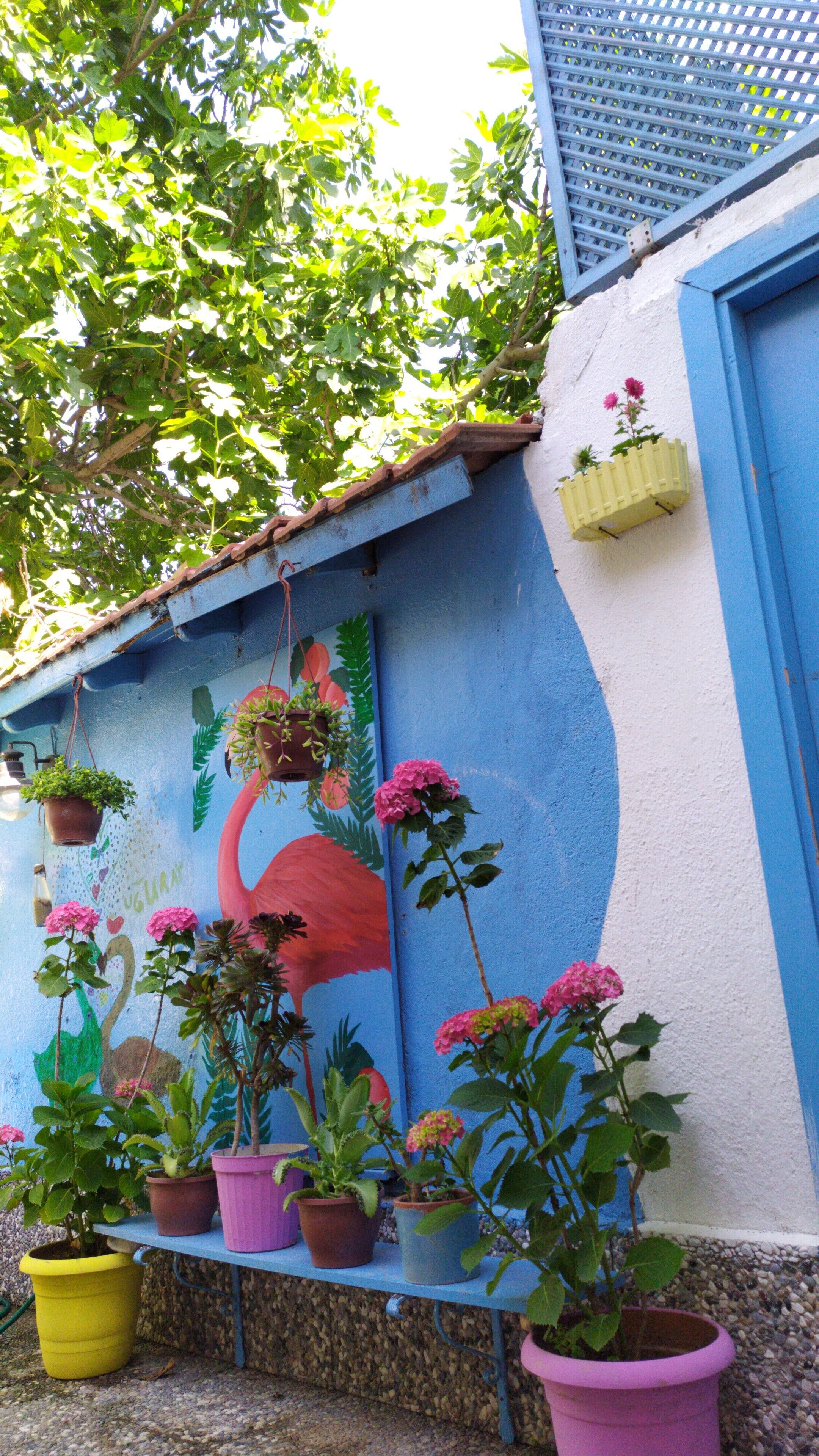 Un mur orné d’une fresque représentant un flamant rose et des plantes en pot.