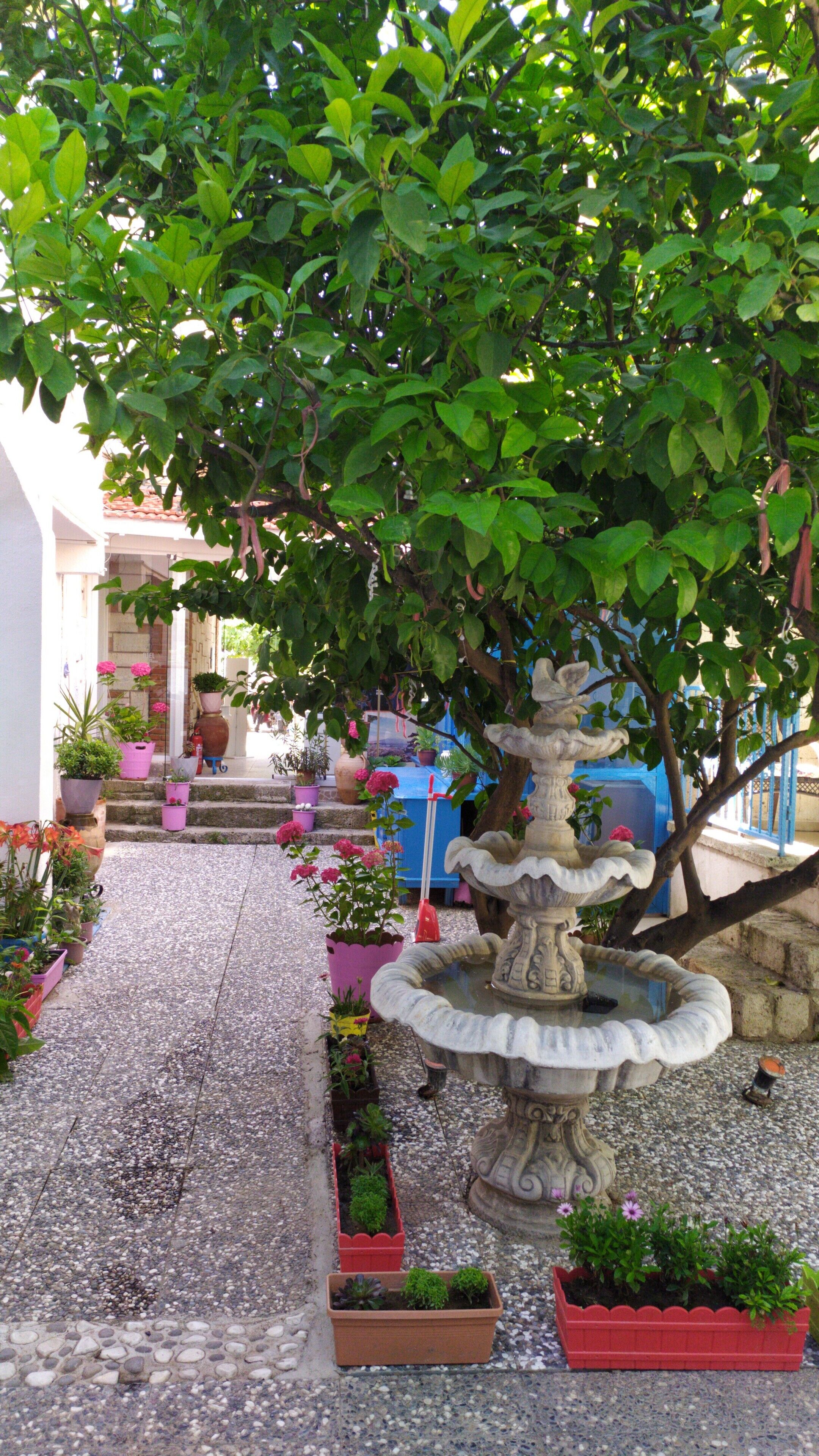 A garden with a stone fountain, potted plants, and a staircase leading to a building.