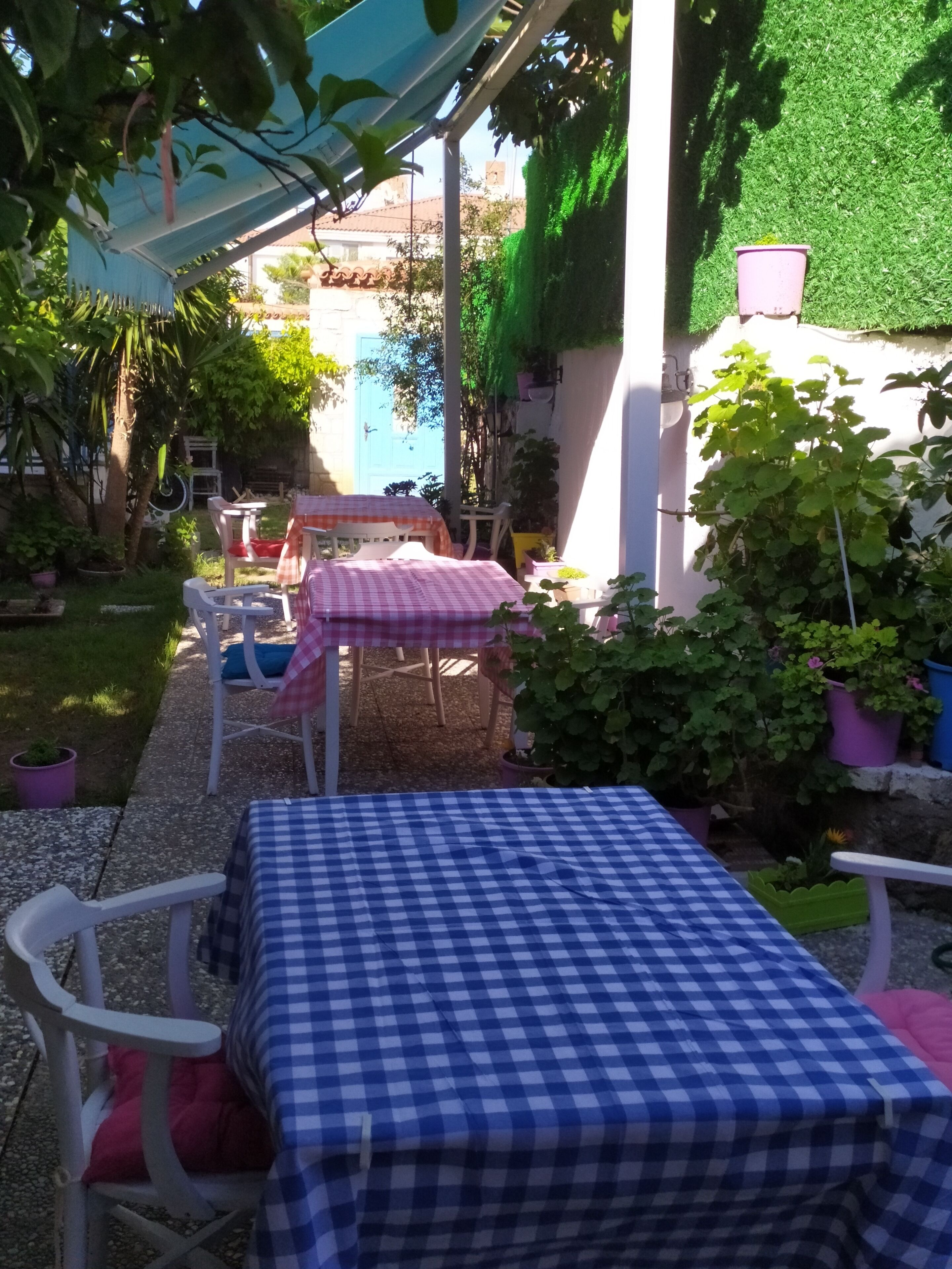 A patio area with a checkered table and chairs, surrounded by potted plants and a blue umbrella.