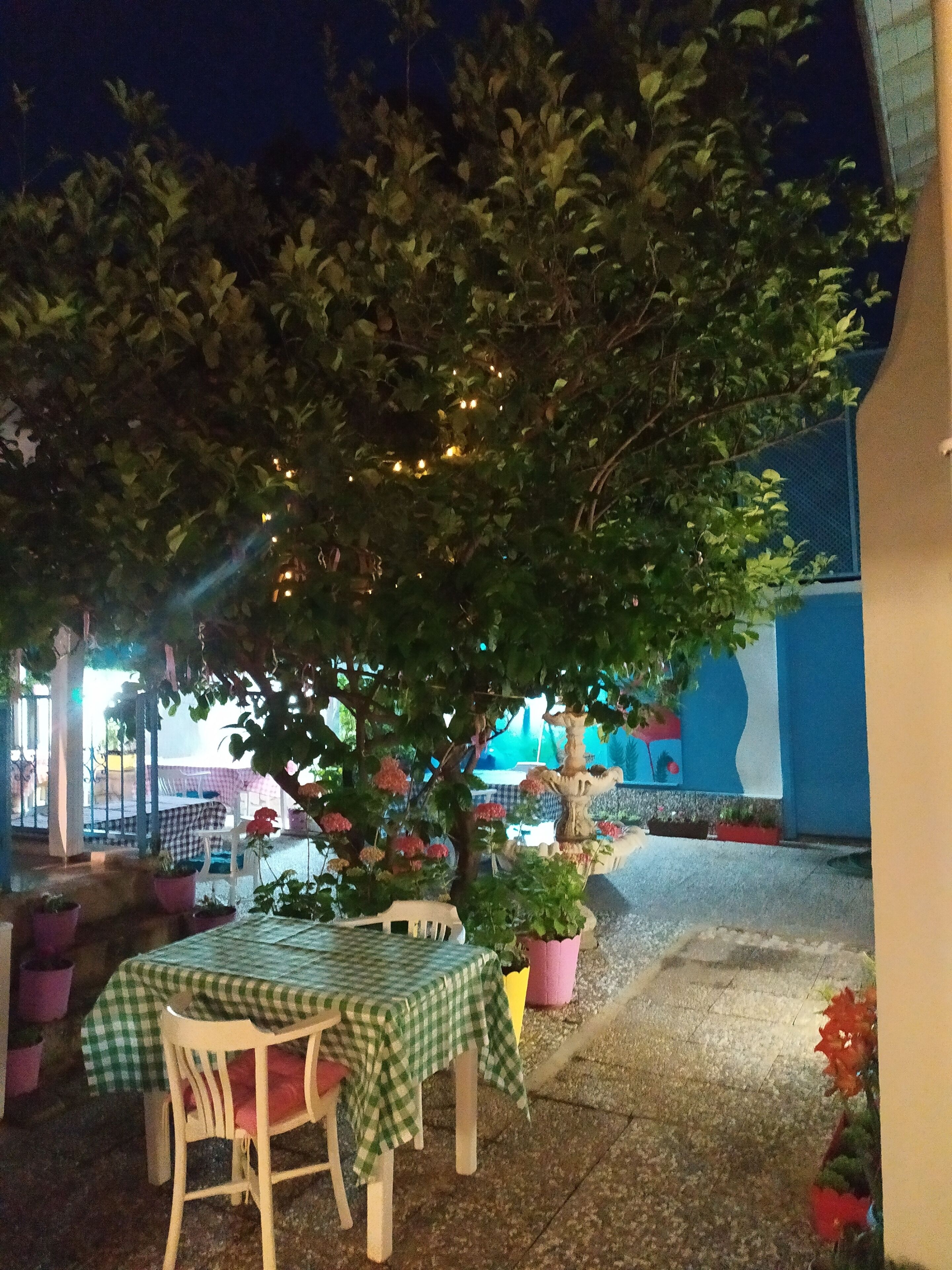 Un espace extérieur aménagé avec des tables et des chaises, entouré de plantes en pot et d’un arbre.