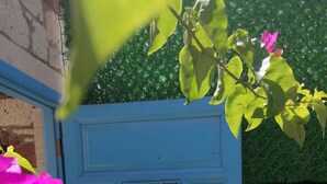 A blue door with a decorative window, surrounded by greenery and pink flowers. - Nano Hotel (Cesme)