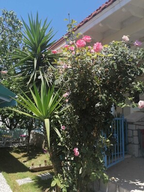 Jardín