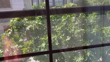 Family Quadruple Room | View from room