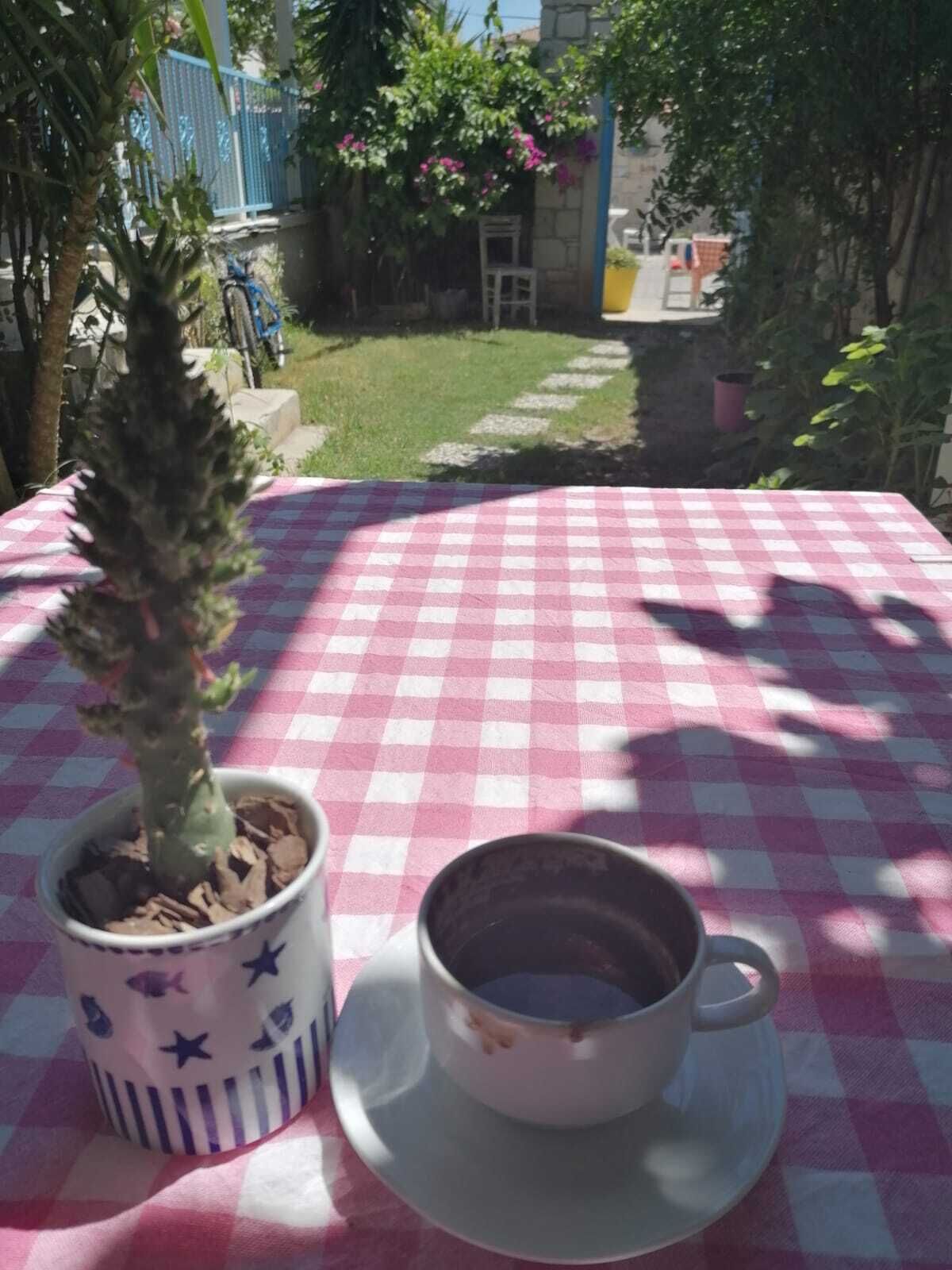 A table with a pink and white checkered tablecloth, a potted plant, and a cup of coffee.