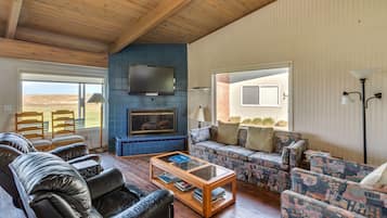 Télévision, cheminée, lecteur de DVD