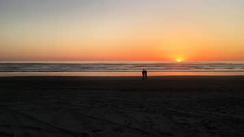 Accommodatie ligt op het strand