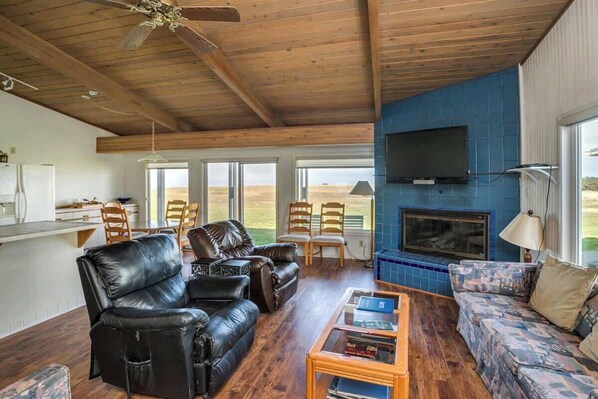 TV, fireplace, DVD player