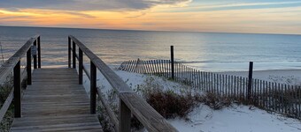 Cape San Blas, côté nord du golfe, Animaux acceptés