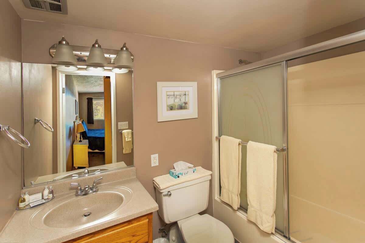 Une salle de bain équipée d’un lavabo, d’un miroir, de toilettes et d’une douche.