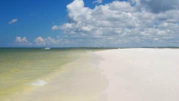 Sun loungers, beach towels