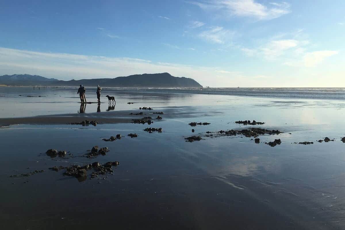 Vlak bij het strand