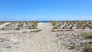 A sandy beach path leading to the ocean, surrounded by sparse vegetation. - Beachfront Condo 322, Luxury 1 BR at Beachside Colony NEW POOL (Tybee Island)