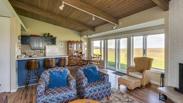 Televisión, chimenea, reproductor de DVD