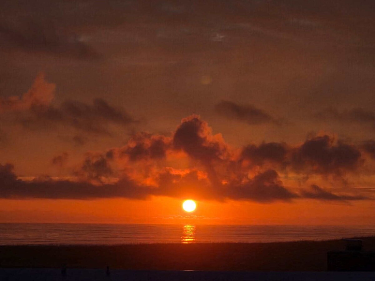 Imagen de perfil del propietario o de la propietaria