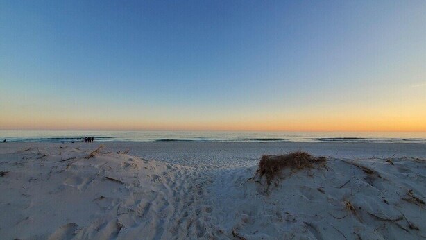 Ein Strand mit Dünen und blauem Himmel.