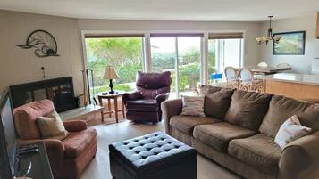 Tv, eldstad och dvd-spelare