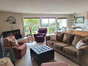 TV, fireplace, DVD player