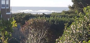 Property grounds - Pacific Terrace T441 (Gearhart)