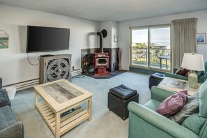 TV, fireplace, DVD player