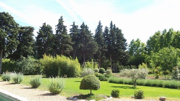 A well-maintained garden with various shrubs and trees, a neatly trimmed lawn, and a clear sky.