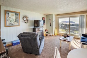 TV, fireplace, DVD player