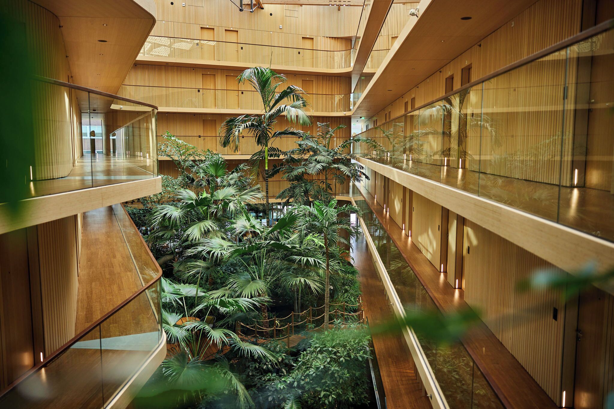 Un atrium à plusieurs niveaux, doté de lambris en bois et de rampes en verre, et comprenant un jardin intérieur central où diverses plantes sont cultivées.