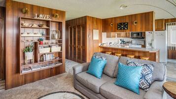 電視、壁爐、DVD 播放機