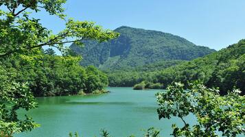 A serene lake surrounded by lush greenery and a mountain.