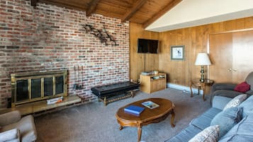 TV connectée, cheminée, lecteur de DVD