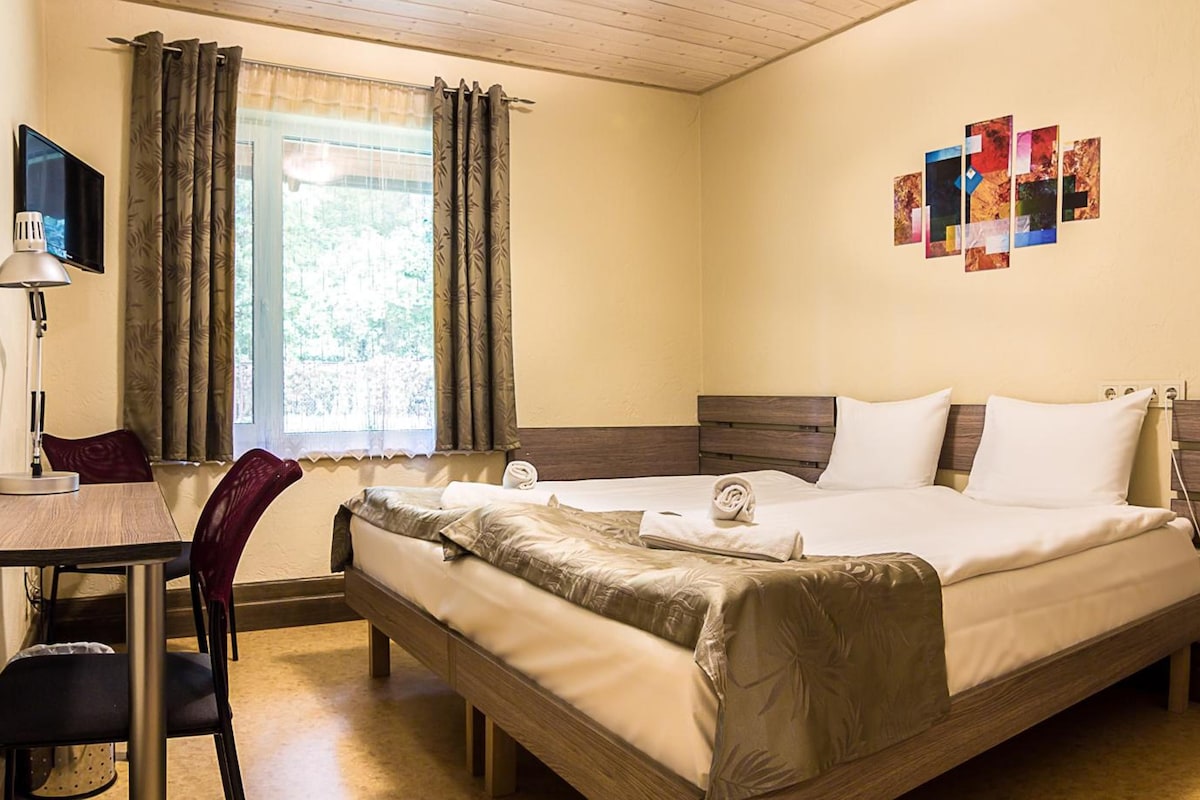 A hotel room with a bed, a desk, a chair, a TV, and a window with curtains.