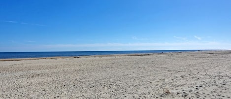 På stranden