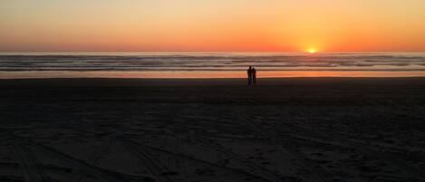 بالقرب من الشاطئ