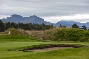 Enjoy a round of golf on our well-maintained putting green, surrounded by rolling hills and a dense forest.