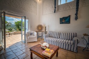 32-inch Smart TV with satellite channels, TV, fireplace