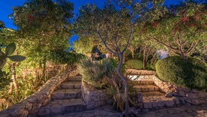 A stone staircase leading up to a garden with various plants and trees. - Askos Villa (Zakynthos)