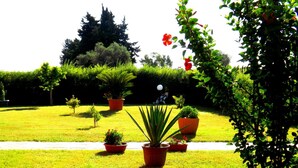 Un jardín cuidado con varias plantas en macetas y un sendero.