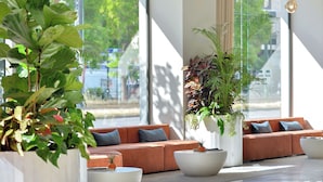 Un interior modern amb un conjunt de sofàs, plantes en testos i grans finestres.